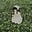 بأختصار's avatar
