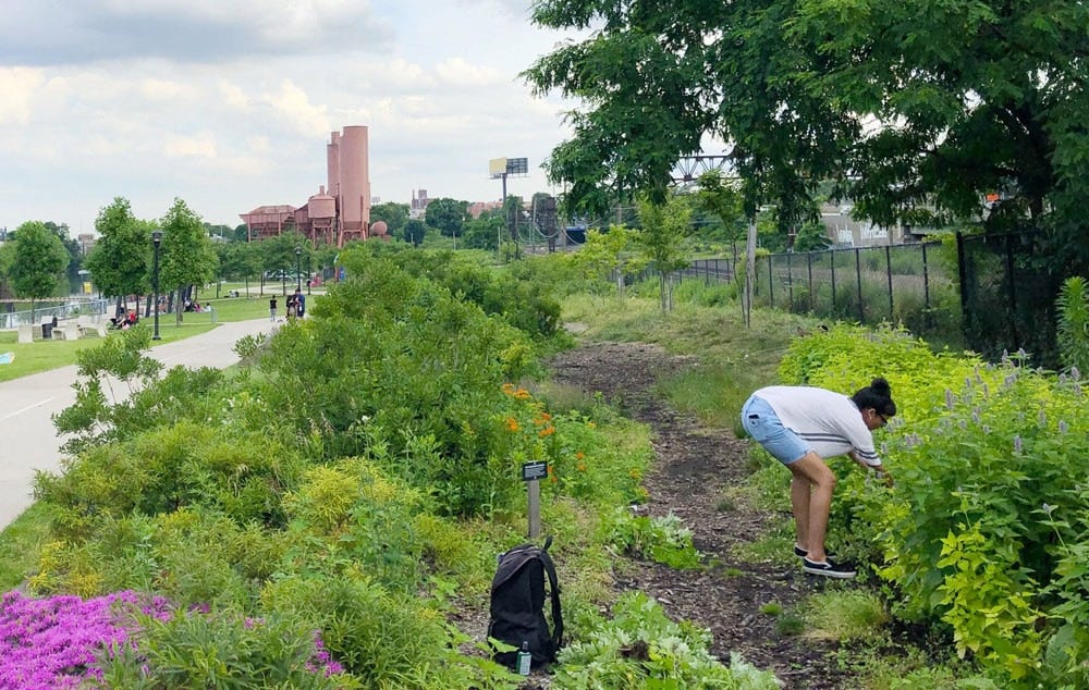 Donate - Bronx River Alliance