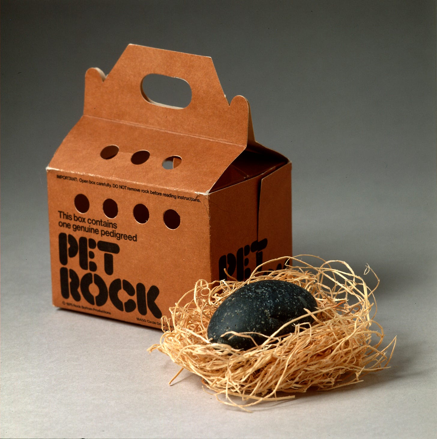 The Pet Rock Captured a Moment and Made Its Creator a ...