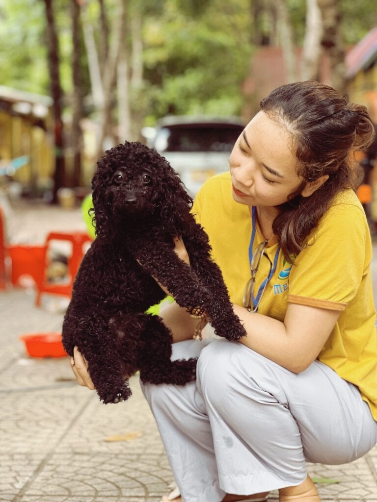 sống ở chùa nganlam