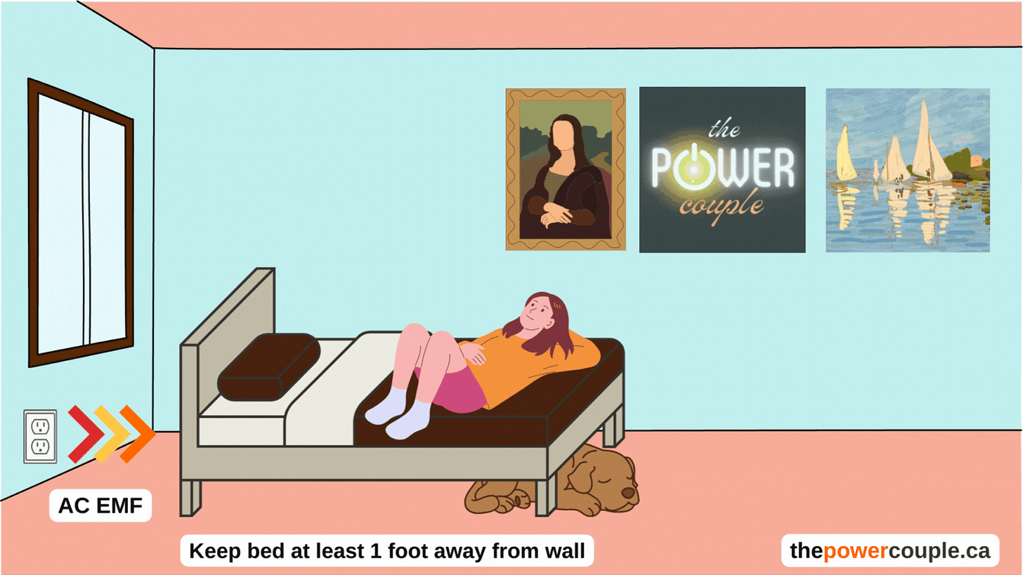 What's the most common EMF in our home?