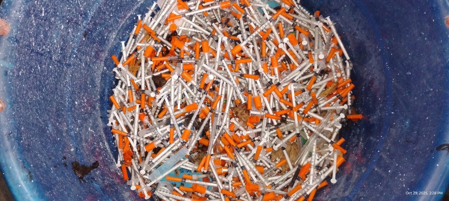 A bowl of orange and white objects

Description automatically generated