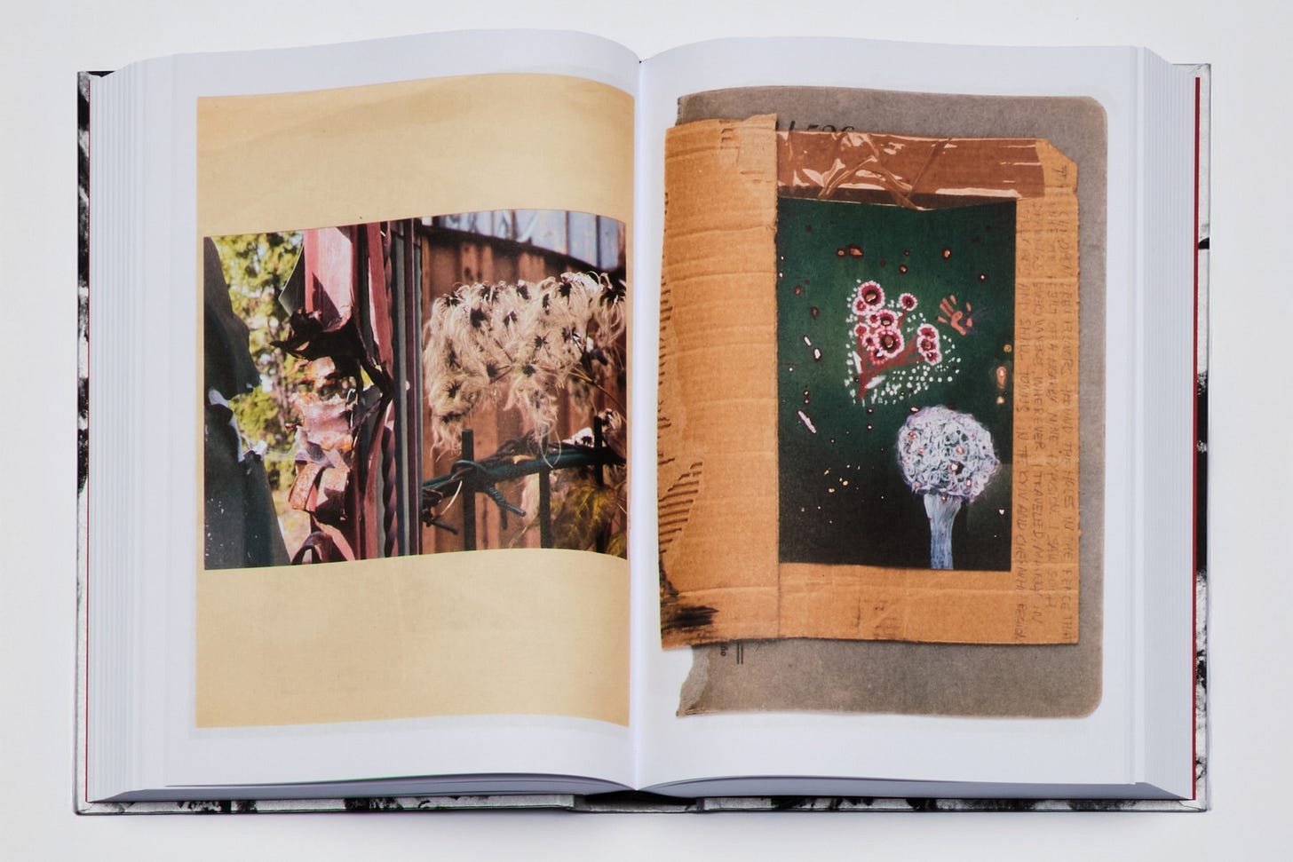From the book ‘Red Horse’ by Sasha Kurmaz