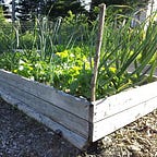 The Maritime Gardening Newsletter