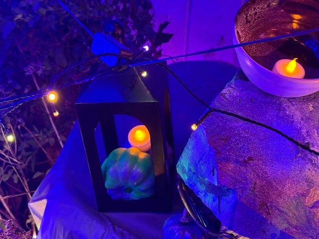 The lit bushes of the Aurora Wisp Swarm.