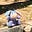 Gingia's avatar