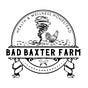 Rural Rants by Bad Baxter Farm's avatar