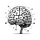 The Brain