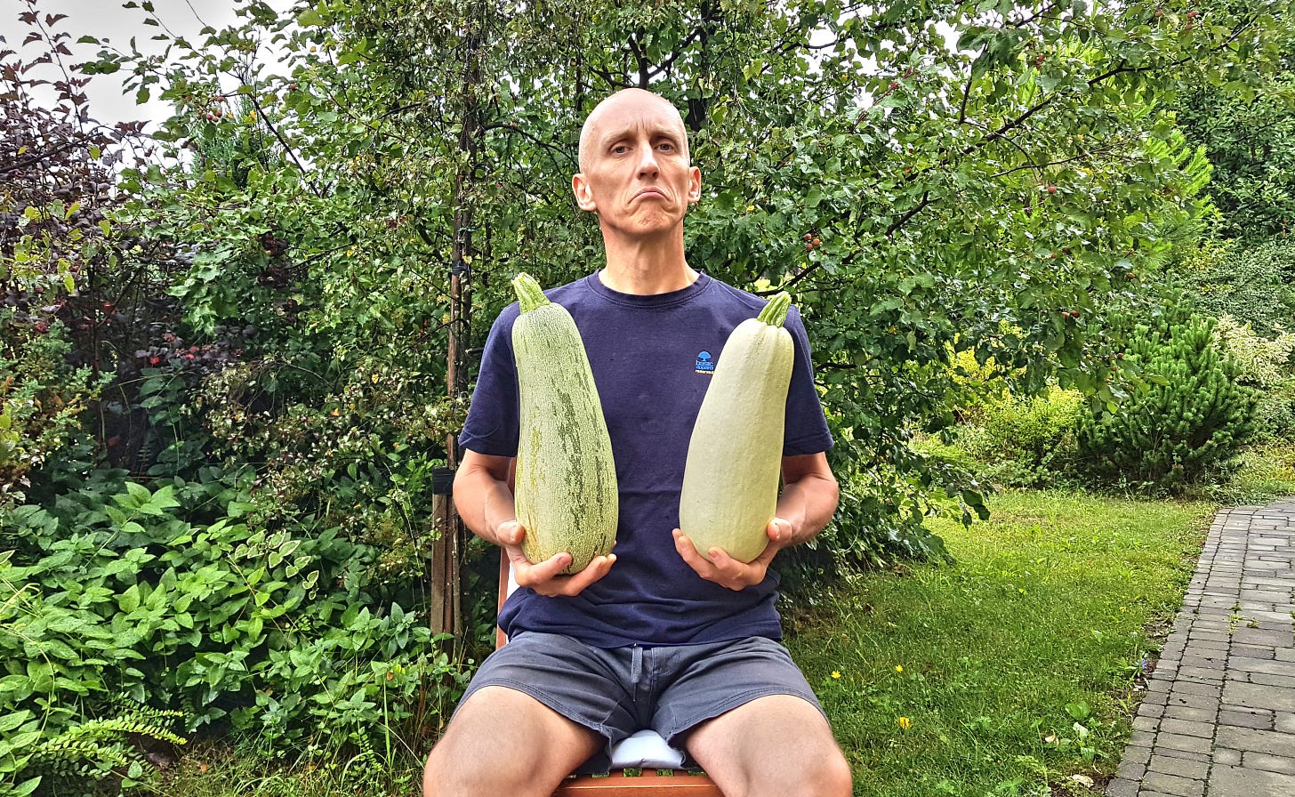 A szerző, Manhertz József nyáron zöld rövidnadrágban és sötétkék pólóban ül kertjében egy széken. Buja zöld bokrok és fák veszik körül. Két hatalmas cukkinit tart a két kezében. Közben emelt fővel, viccesen erőltetett büszke arckifejezéssel néz.