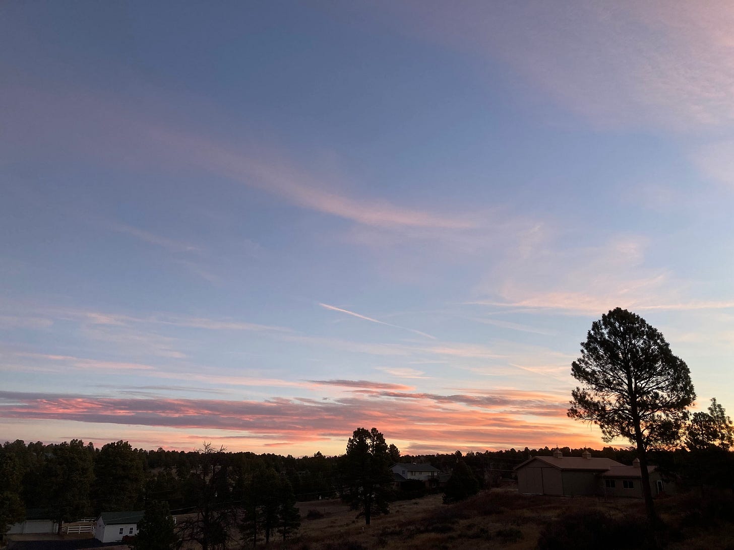 Dawn, 2026-02-15 Dawn, 2026-02-15