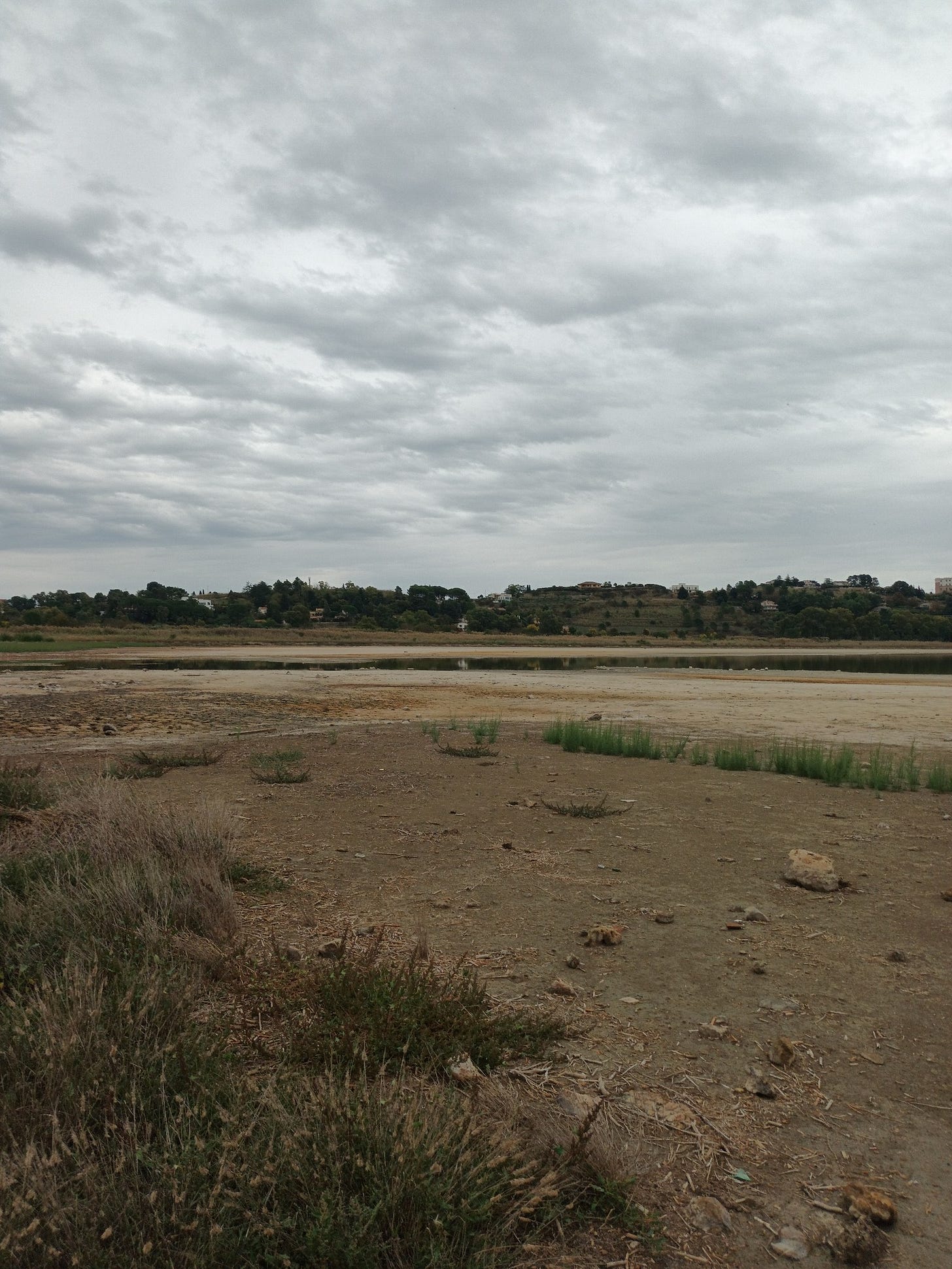 May be an image of horizon, fog and grass