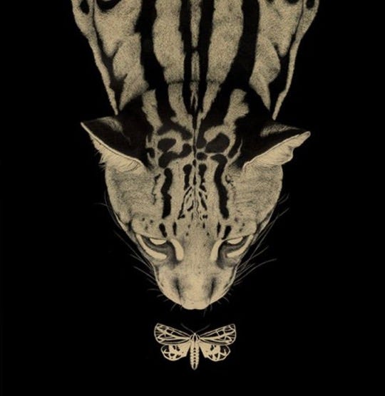 Merveye \ud83d\udc41️‍\ud83d\udde8️