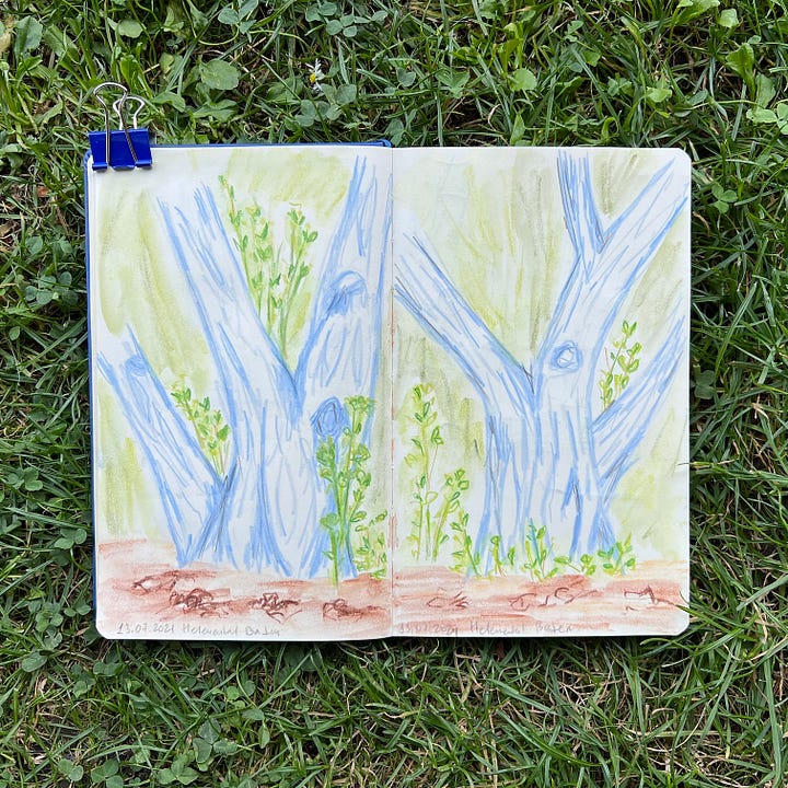 Sketchbook spreads with sketches of flowers and trees made in coloured pencils and crayons.