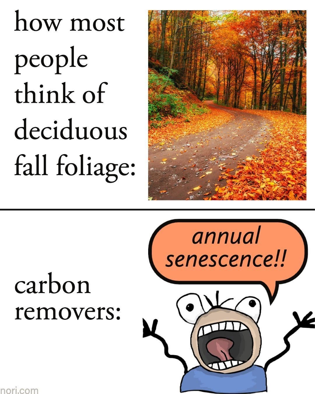Two panels. "How most people think of deciduous fall foliage:" a path through orange autumn trees. "Carbon removers:" a screaming cartoon figure yelling "annual senescence!!"