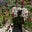 Travel Whimsy's avatar