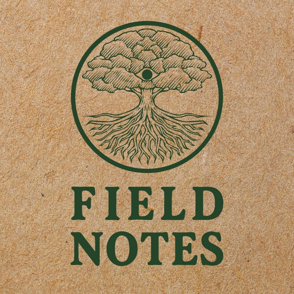 Field Notes from the Work (and the Wild)