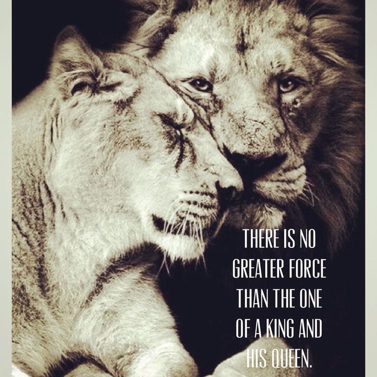 40 best Puma images on Pinterest | Big cats, Lion and Lions