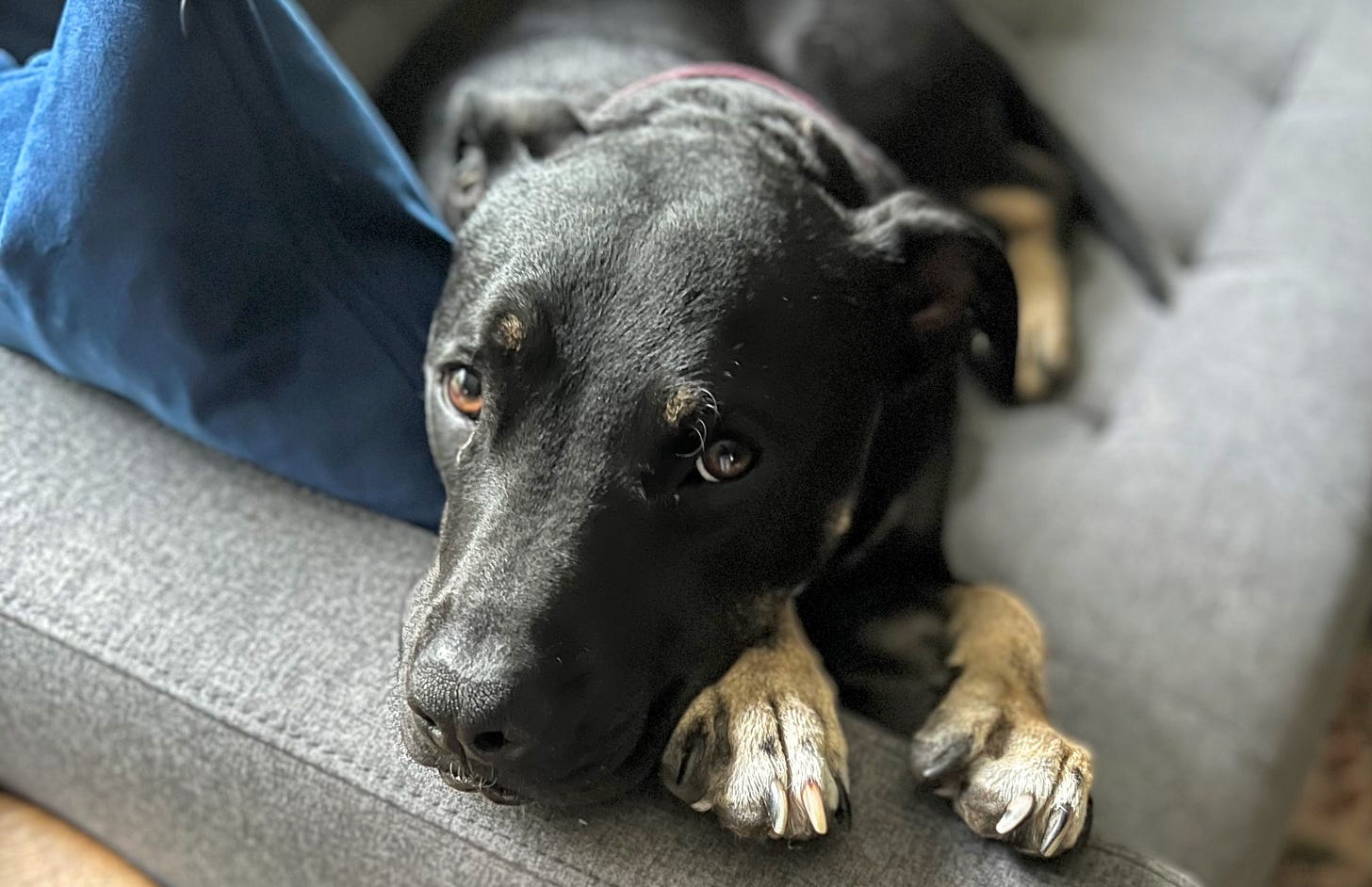 Mabel’s climate journey is ongoing. (Photo: Jennifer Roberts)