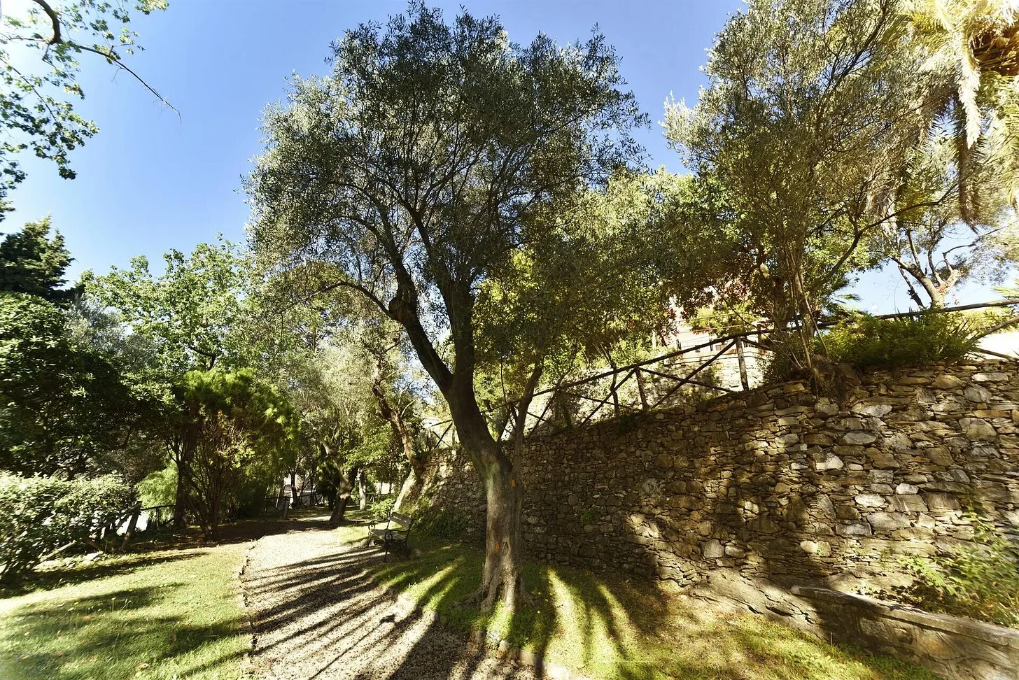 Ad Alassio quattro appuntamenti a ottobre per scoprire natura e tradizioni del parco di Villa Fiske