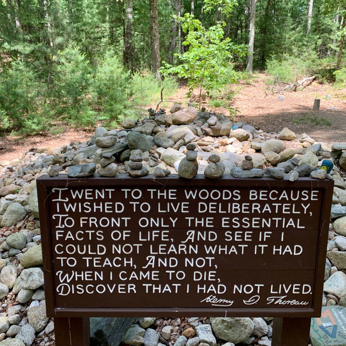 On Walden Pond – Traveler Tina On Walden Pond – Traveler Tina