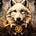 Wolf Rehab's avatar