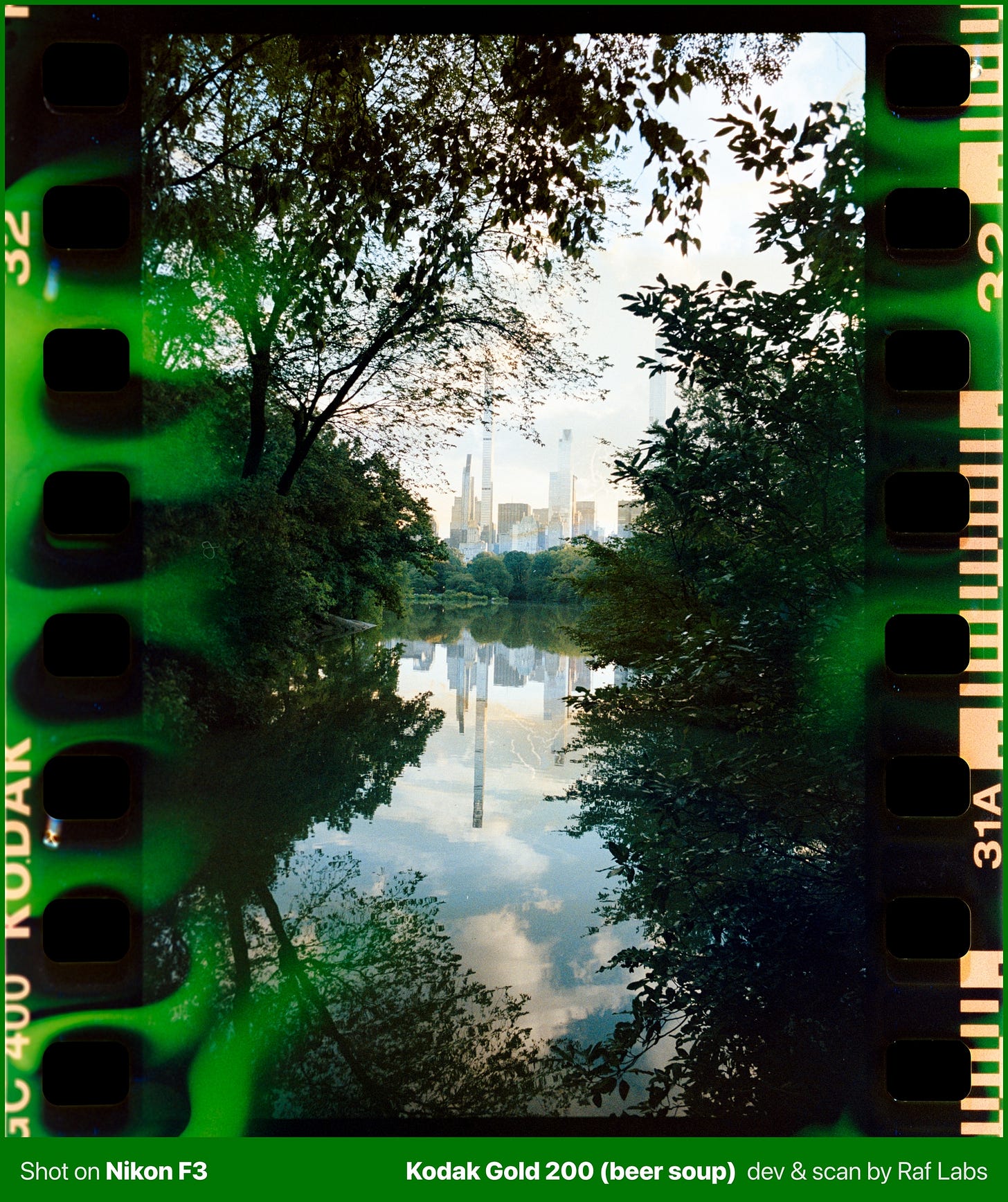 photo of central park with beer soup