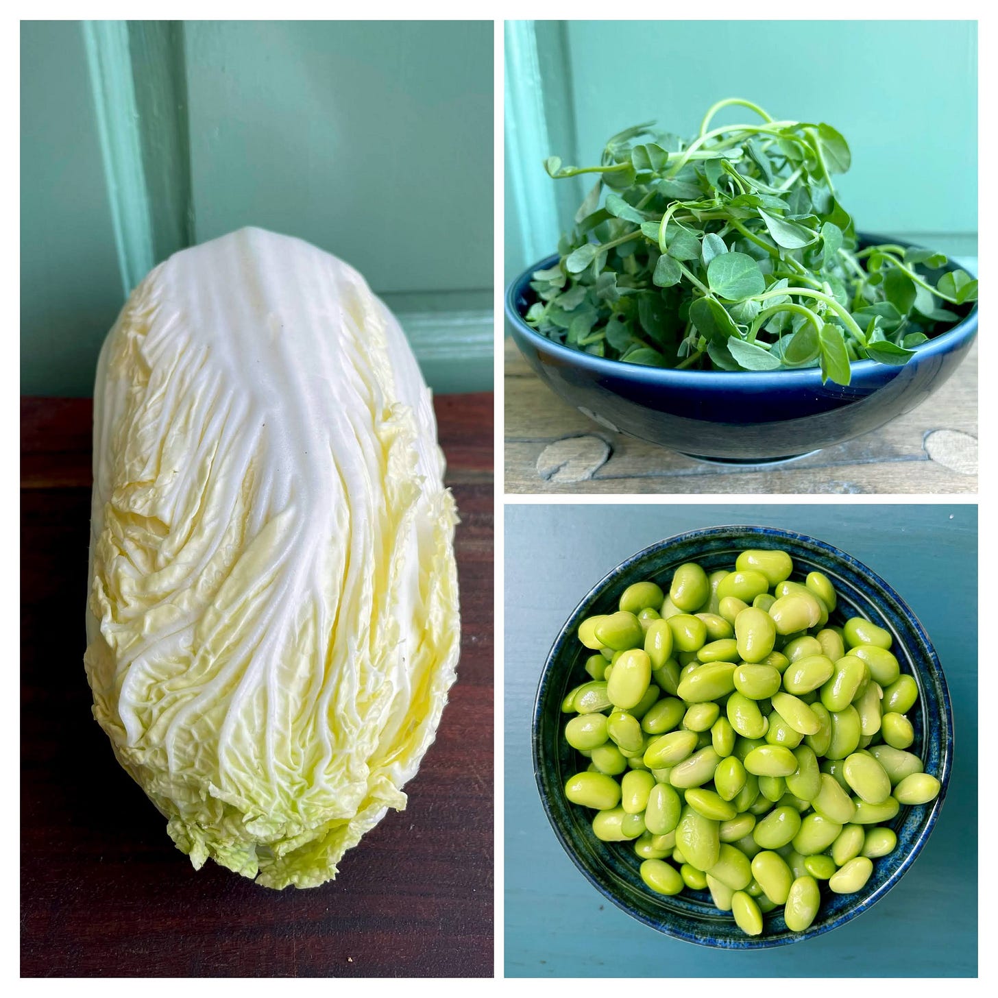 Napa cabbage, pea shoots, edamame; Cook the Vineyard
