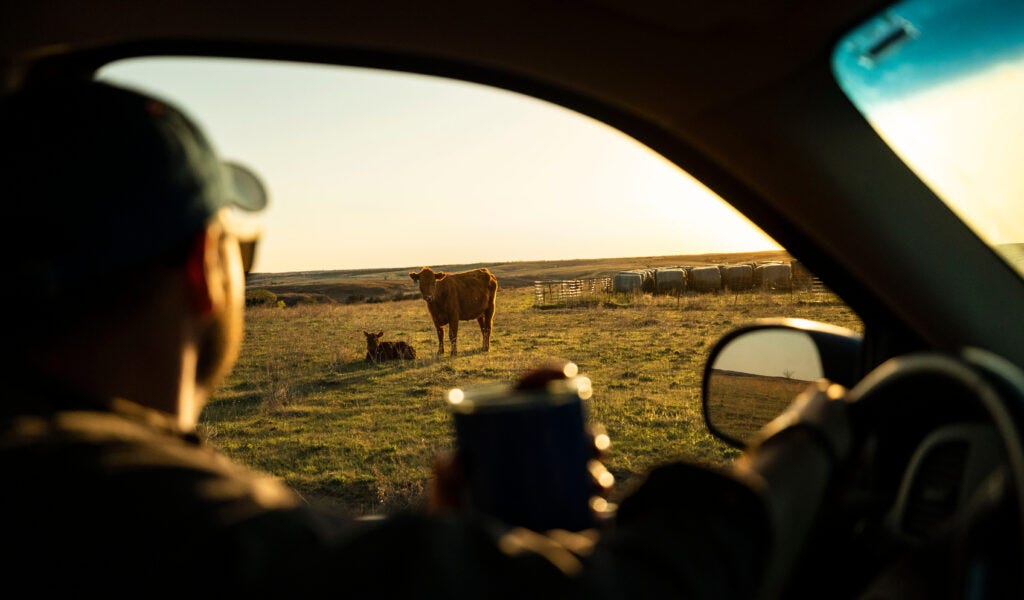 Trump&rsquo;s DOJ Meatpacker Investigation Explained&mdash;and What Must Happen Next/ Farm Action