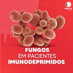 Dose de Ataque News