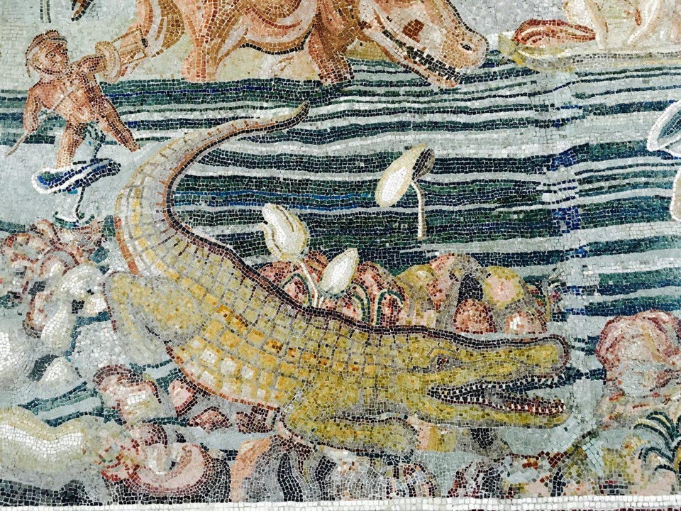 A second century 'Nilotic scene' mosaic from the Aventine Hill in Rome, now at Palazzo Massimo alle Terme. Photo by the author. A second century 'Nilotic scene' mosaic from the Aventine Hill in Rome, now at Palazzo Massimo alle Terme. Photo by the author.