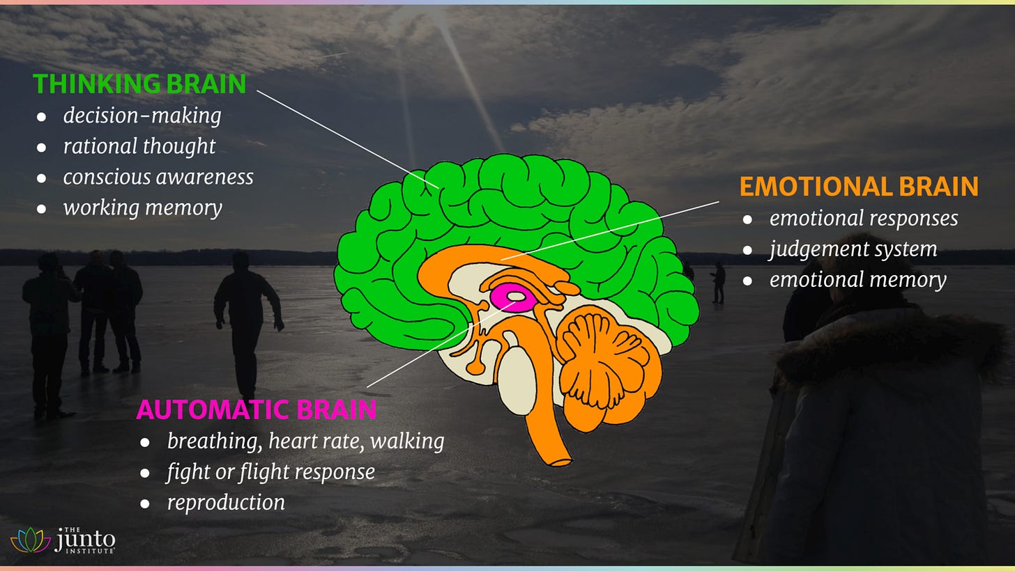 No alt text provided for this image