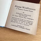 You Belong Among the Wildflowers