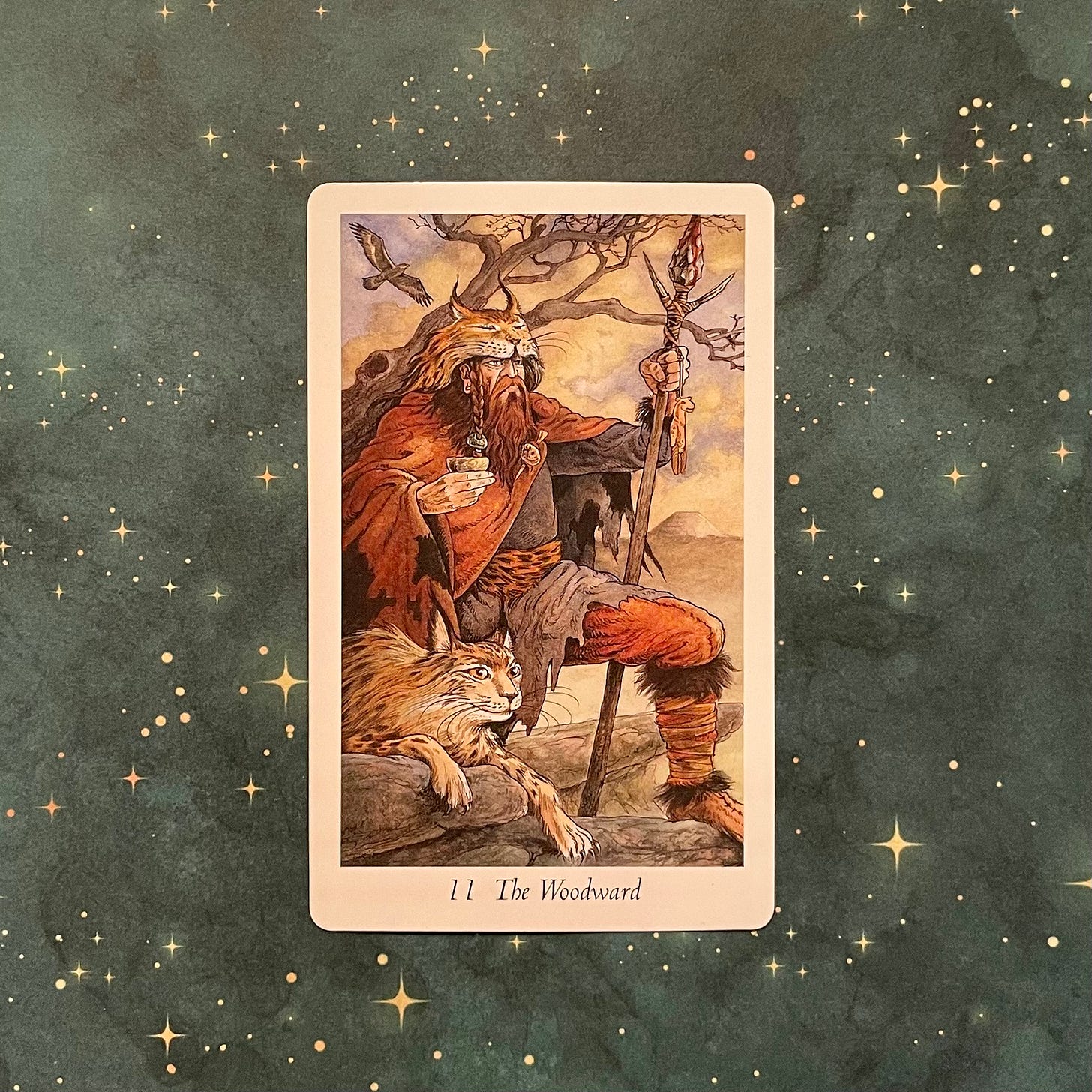 Photo of The Woodward tarot card on a green star covered background. The Woodward is a man dressed in skins and furs holding a stand with a wild cat next to him. A bird of prey flies overhead.
