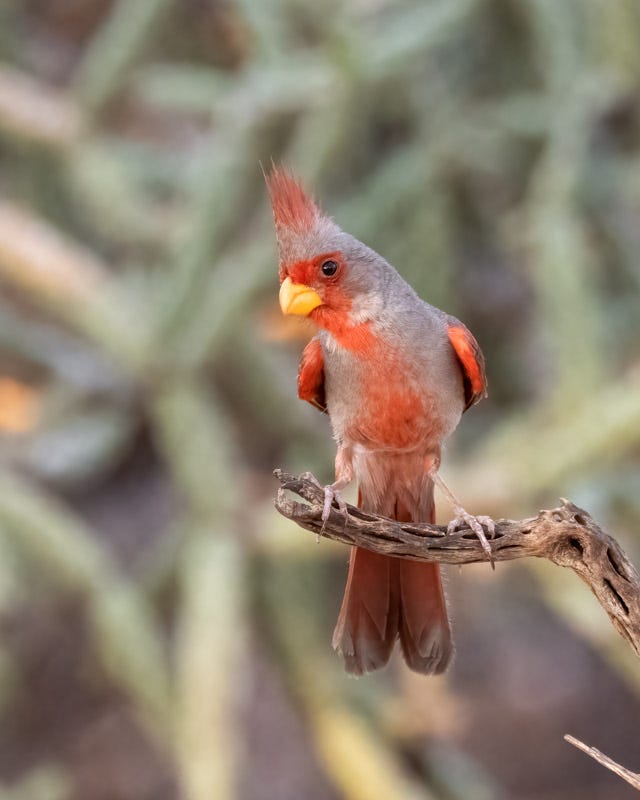 20250720-mby-50-Edit.jpg 20250720-mby-50-Edit.jpg