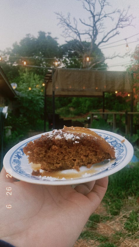 Mango cake, Summer Magazine, Summer sunflowers