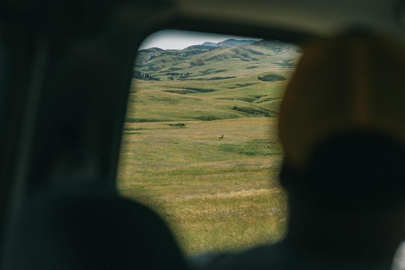 mad agriculture cavagnero 183