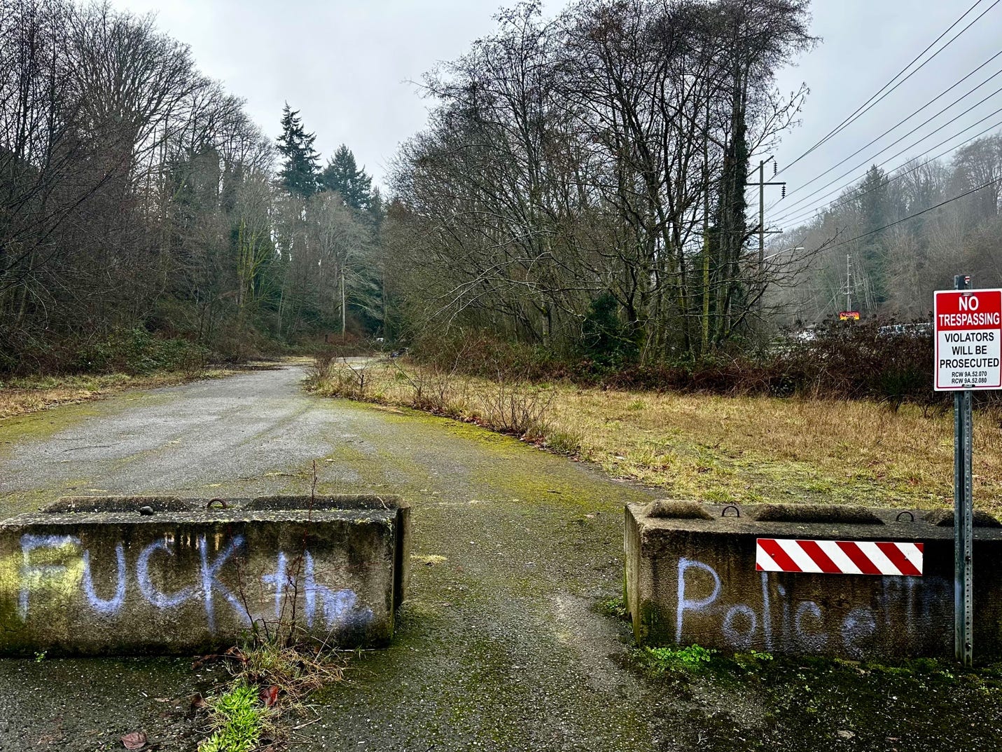 A road with graffiti on it

Description automatically generated