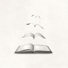 Mistakes Were NOT Made: Translations & PDFs