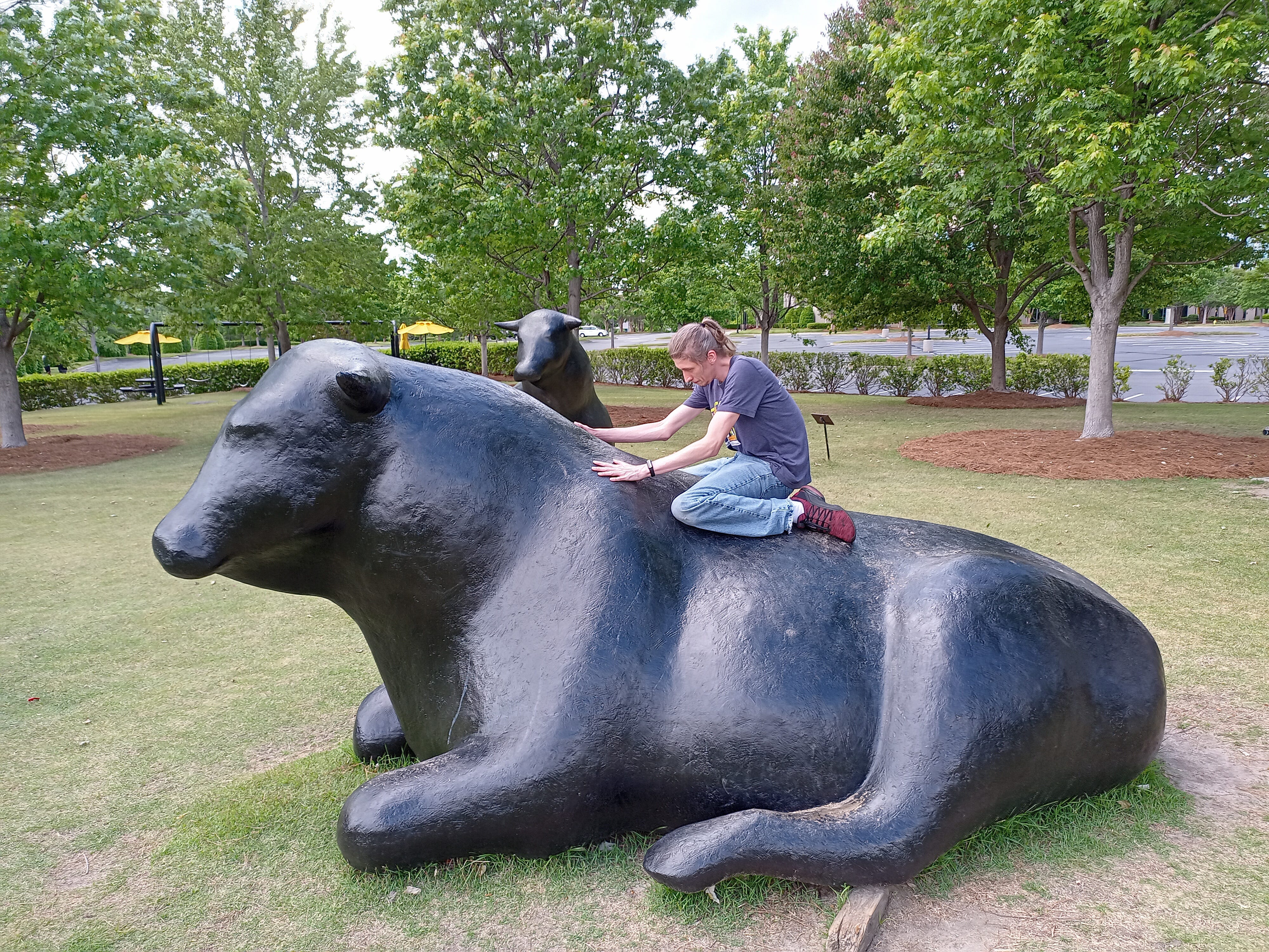 Bamboo Sprouts & Roundabouts
