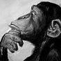 Sietze Bosman's avatar