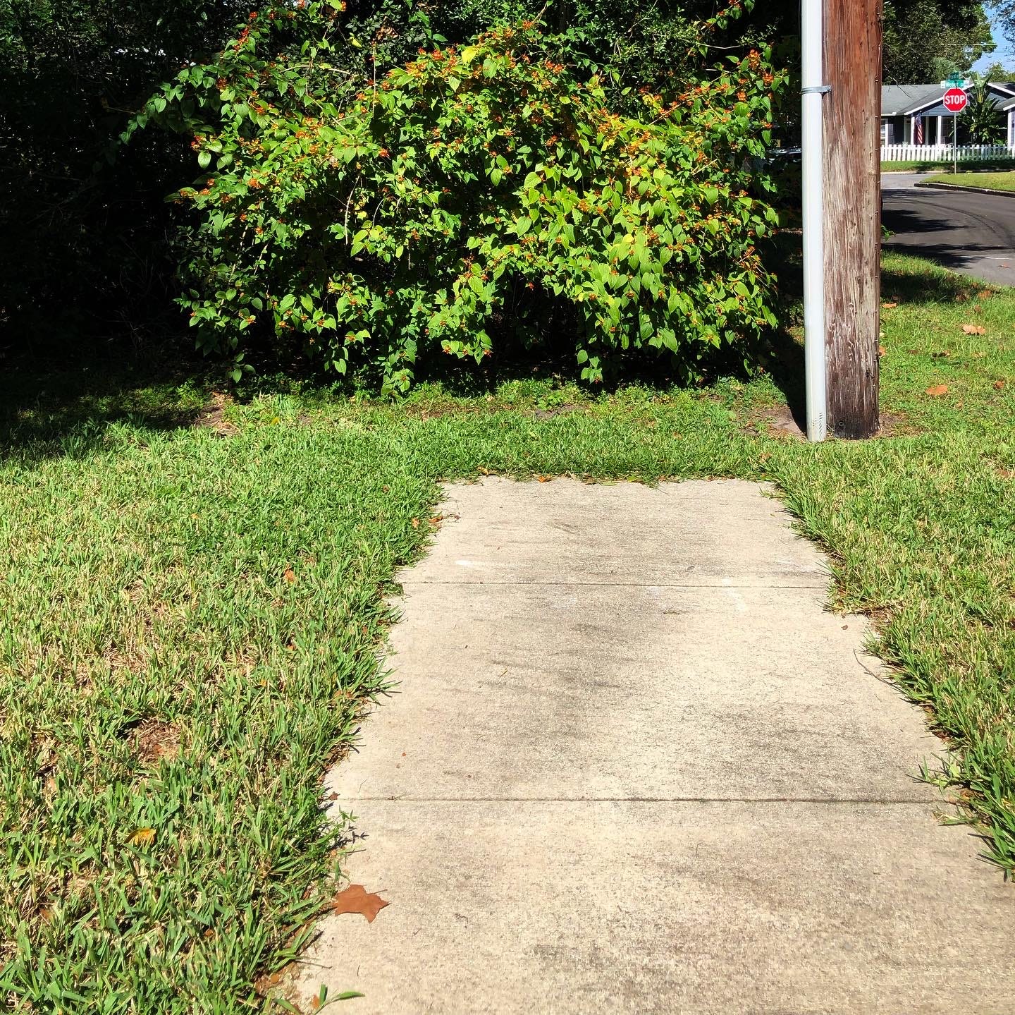 another dead end sidewalk in colonialtown