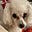 Shelldog's avatar