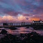 Voice, agency and investment