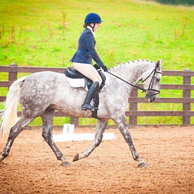 Tight scoring at Hagans Croft Dressage