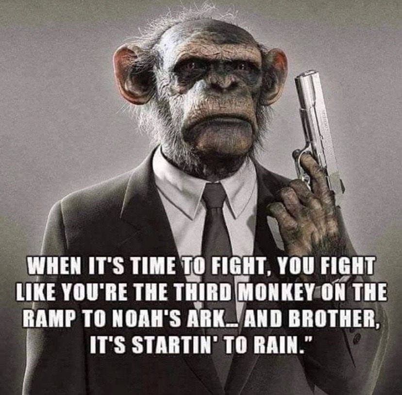 Sarcastic Quotes Funny, Stupid Funny Memes, Hilarious, Wise Quotes ...