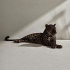 the quark and the self 