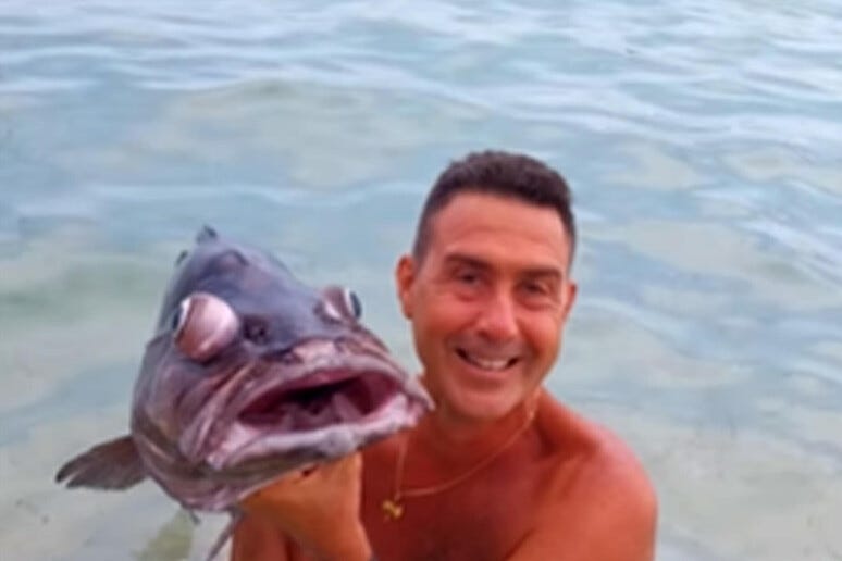 Vannacci provoca sinistra con un pesce, esposto animalisti - Notizie - Ansa.it Vannacci provoca sinistra con un pesce, esposto animalisti - Notizie - Ansa.it