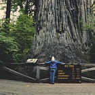 Authors, Holding Yourself to a Higher Standard: Playing Big