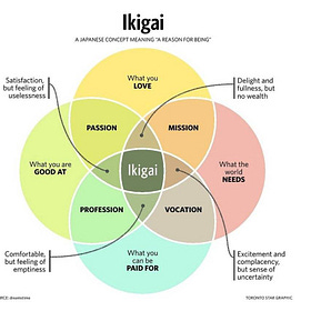 #284: 5L of paint exploded in the boot