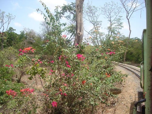 From the Mini Train From the Mini Train